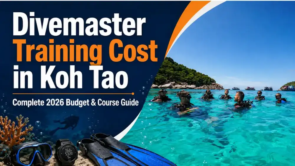 Divemaster candidates on a dive boat in Koh Tao, gearing up for a training dive
