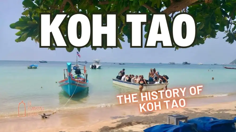 Koh Tao's coastline with longtail boats and granite boulders, the island once known on old charts as Pulo Bardia