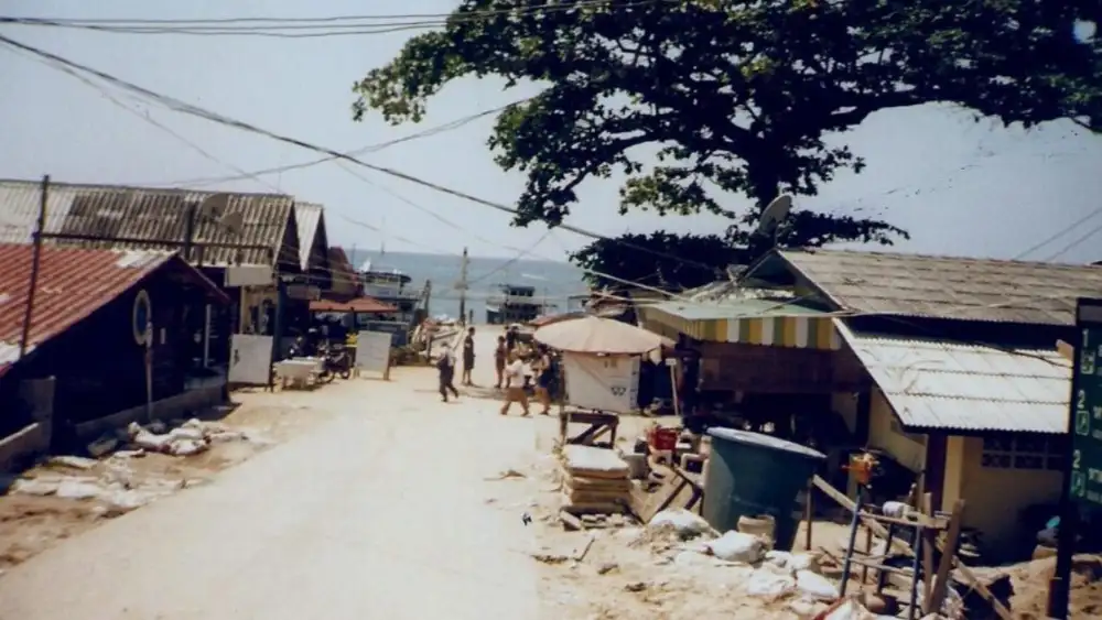 Traditional life on Koh Tao: longtail boats and palm trees on a quiet beach, much as the first settlers would have known it