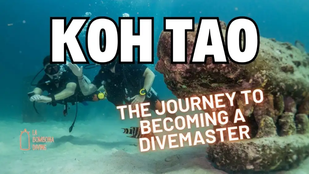 A divemaster candidate diving over a Koh Tao reef during professional training