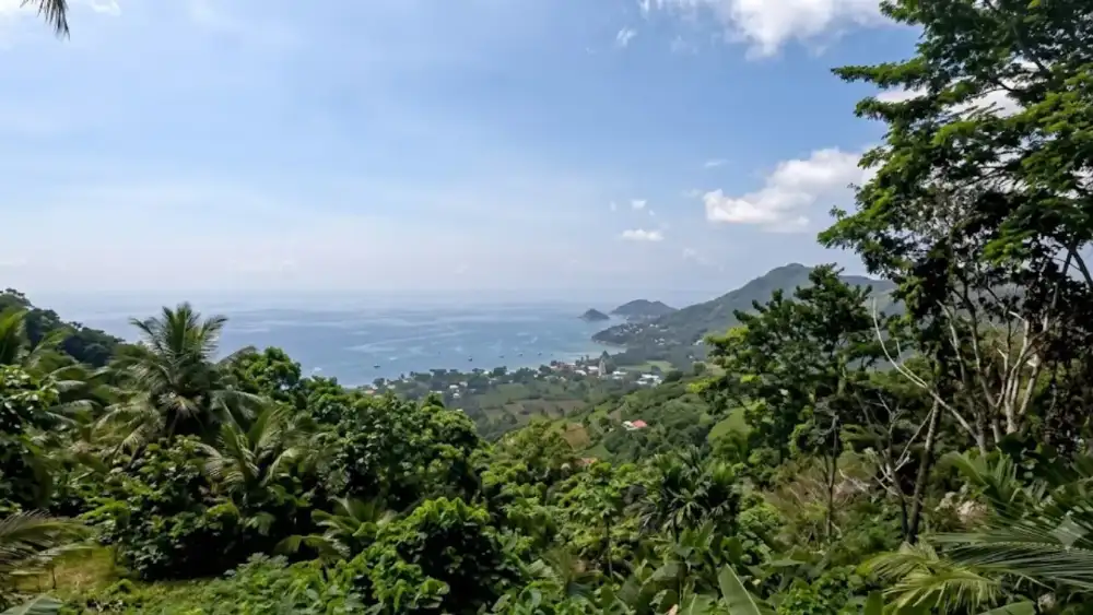 Sunset over the sea and Sairee Beach seen from a hilltop viewpoint on Koh Tao