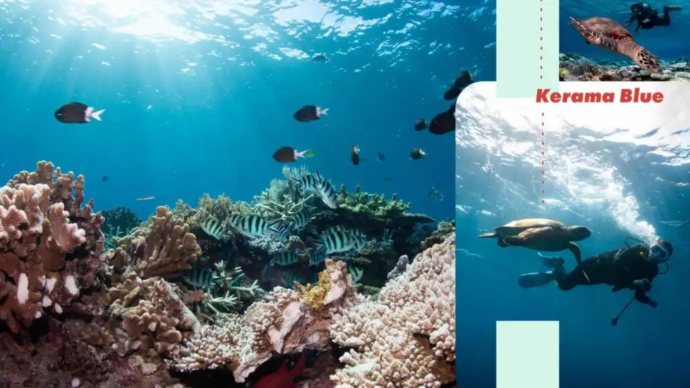 A diver exploring the coral reefs and rock formations of Okinawa's subtropical waters, Japan