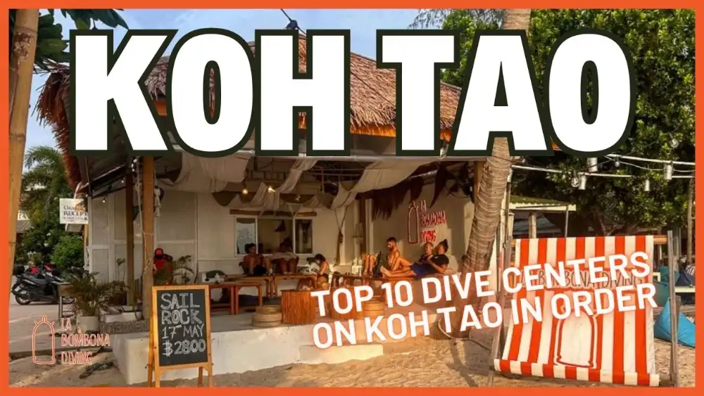 The La Bombona Diving beachfront dive centre on Sairee Beach at golden hour, with divers relaxing on the terrace and a Sail Rock chalkboard sign, overlaid with the words "Koh Tao — Top 10 Dive Centers on Koh Tao in Order"