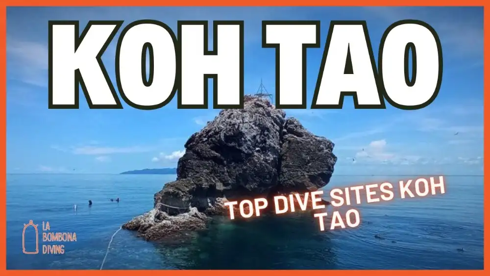 Divers exploring a coral-covered rock pinnacle in clear blue water off Koh Tao, surrounded by schooling fish