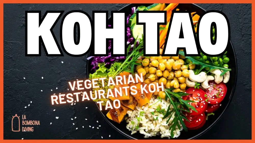 A colourful plant-based bowl with fresh vegetables, avocado and greens served at a vegetarian restaurant on Koh Tao