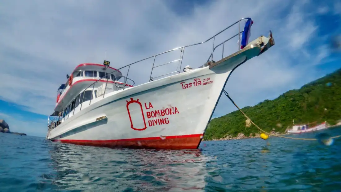 The La Bombona Diving boat moored in calm turquoise water off Koh Tao under a clear blue sky, green hills behind