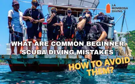 A beginner scuba diver underwater in Koh Tao, learning to control buoyancy on one of their first dives