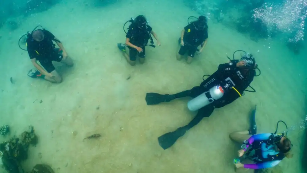 Divers kneeling on the sandy bottom practising mask and regulator skills during a refresher course