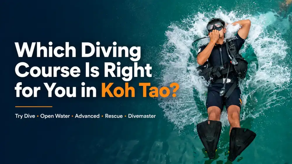 A diver descending along a Koh Tao reef with an instructor close by, deciding which diving course to take
