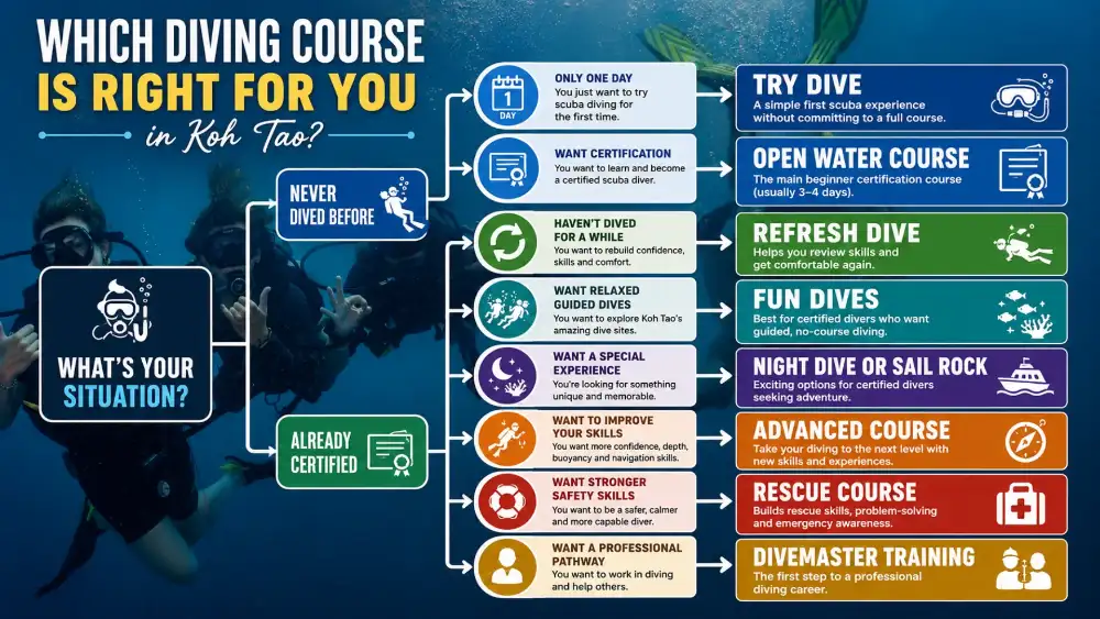 Infographic: which diving course to choose in Koh Tao depending on your situation — Try Dive, Open Water, Refresh, Fun Dives, Advanced, Rescue or Divemaster