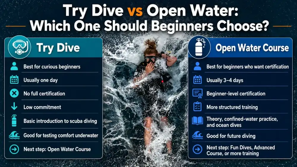 Infographic comparing the Try Dive, best for curious beginners who don't want full certification, with the Open Water course, the beginner-level certification