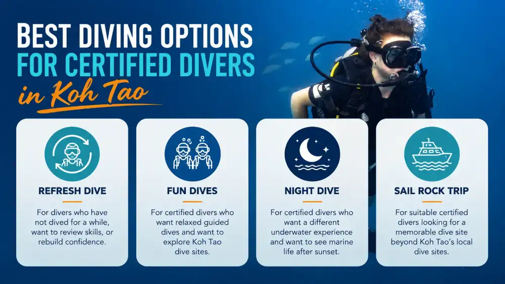 Infographic: the best diving options for certified divers in Koh Tao — Refresh Dive, Fun Dives, Night Dive and Sail Rock trip