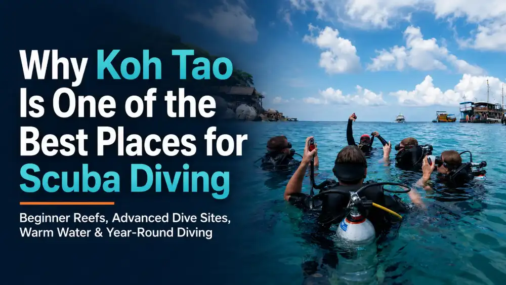 A group of divers at the surface giving the OK signal off Koh Tao, with the title "Why Koh Tao Is One of the Best Places for Scuba Diving"