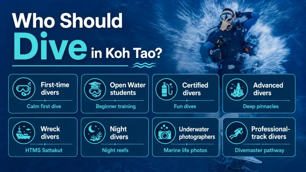 Infographic: who should dive in Koh Tao — first-time divers, Open Water students, certified divers, advanced divers, wreck divers, night divers, underwater photographers and professional-track divers