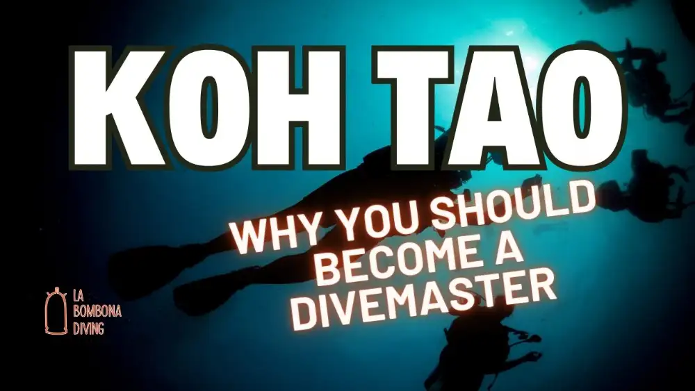 A divemaster candidate leading a small group of divers over a coral reef at Koh Tao