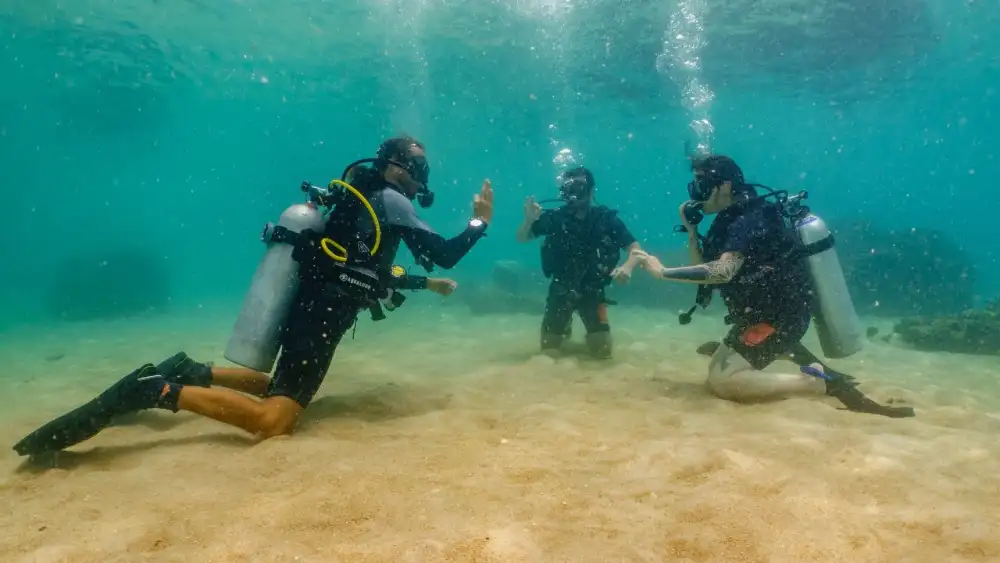 Professional diving instruction in progress, an instructor guiding students underwater