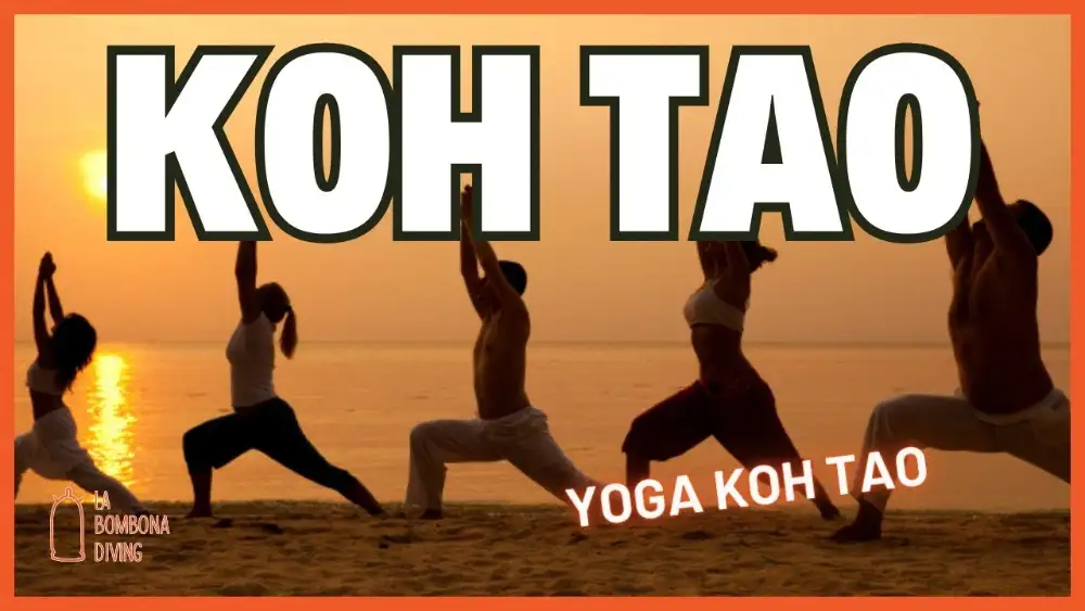 A yoga class practising on an open-air deck overlooking the sea on Koh Tao
